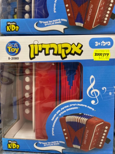 אקורדיון רגיל