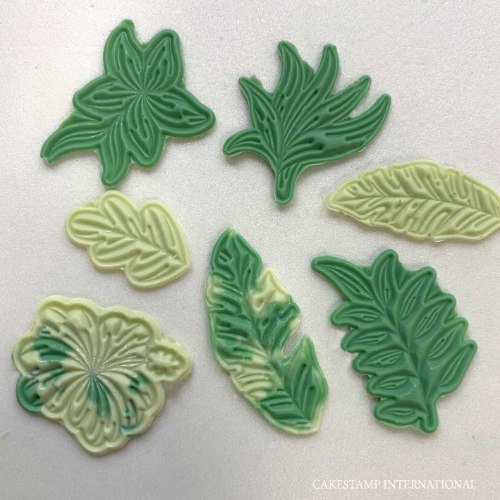 סט מיני עלים לעוגת קיץ טרופית | תבנית עלים למגנום 2021 חדש מאתי דבש