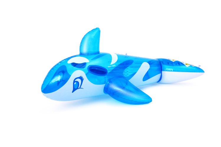 לויתן רכיבה שקוף 135*73*60 סמ