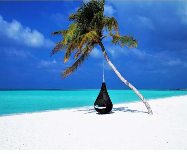 צביעה לפי מספרים - חוף RGDZ918