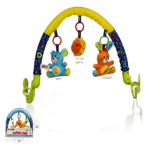 קשת פעילות חיות קליפס