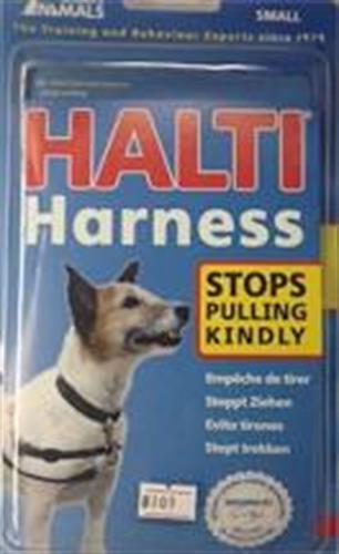 רתמת אילוף HALTI