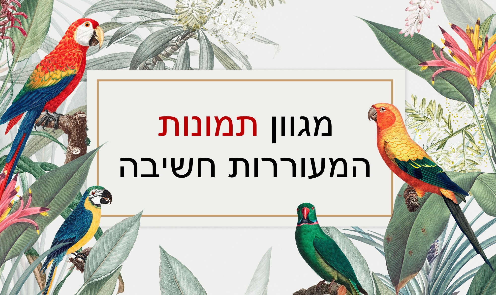 תמונות השראה - coolart