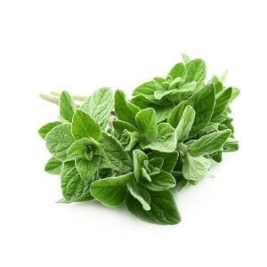 אורגנו טרי מארז