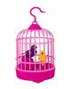 ורוד - כלוב ציפורים מצייצות