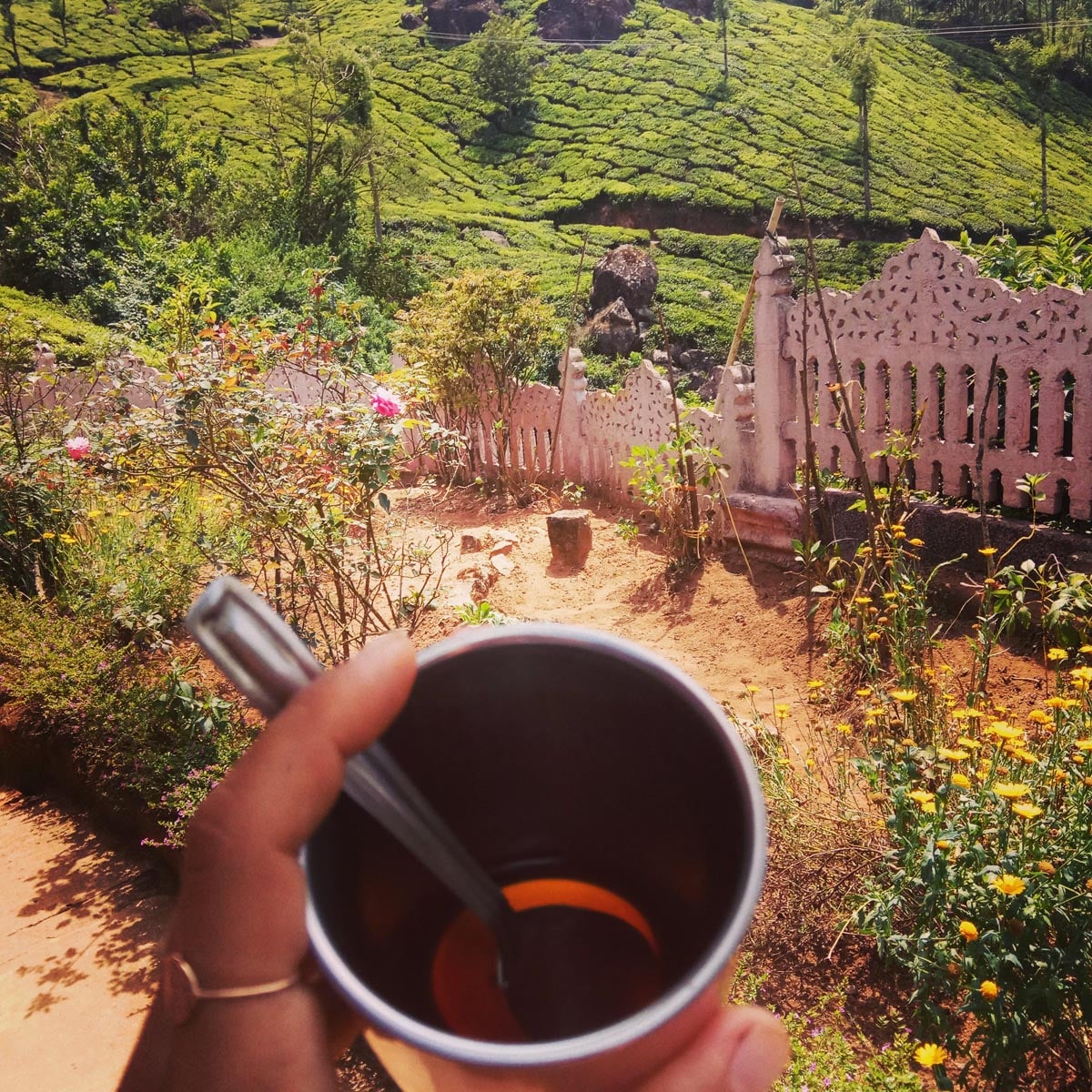 מטעי התה במונאר