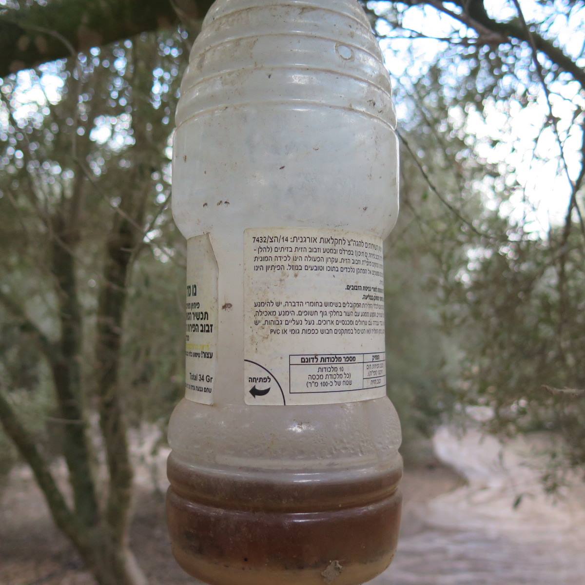 מה ההבדל בין טבעי לאורגני?