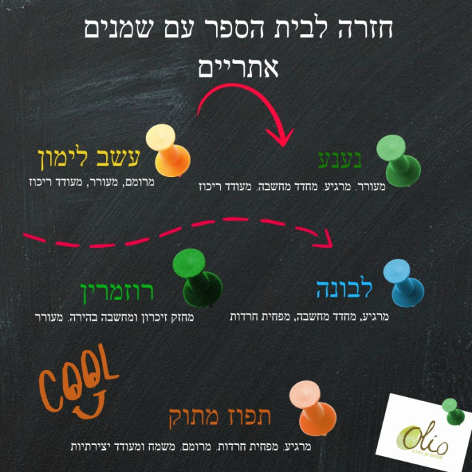 חזרה לבית הספר עם שמנים אתריים