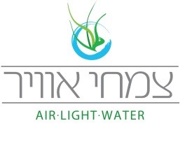 צמחי אויר צמחי אויר