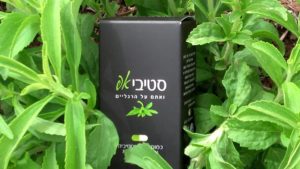 ממתיק סטיביה
