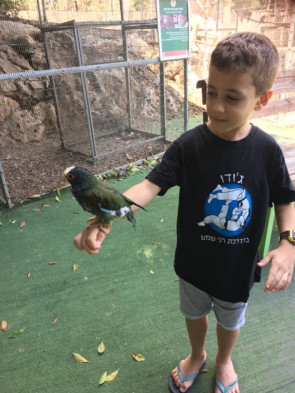 פארק אוטופיה