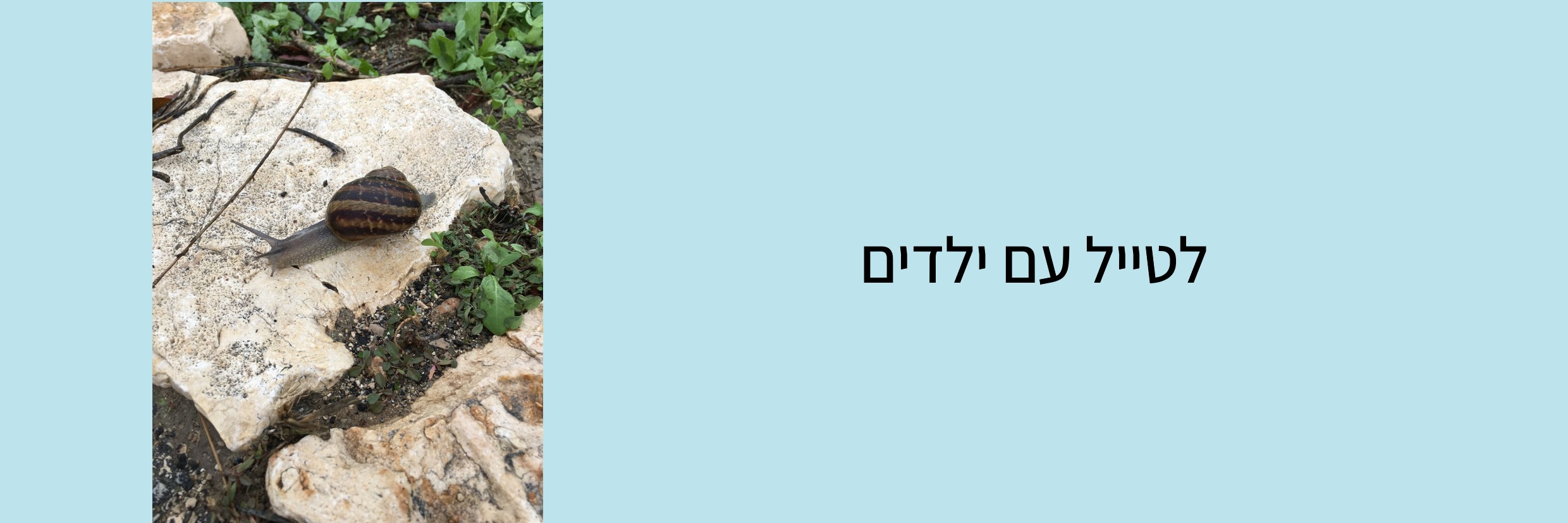 לטייל עם ילדים